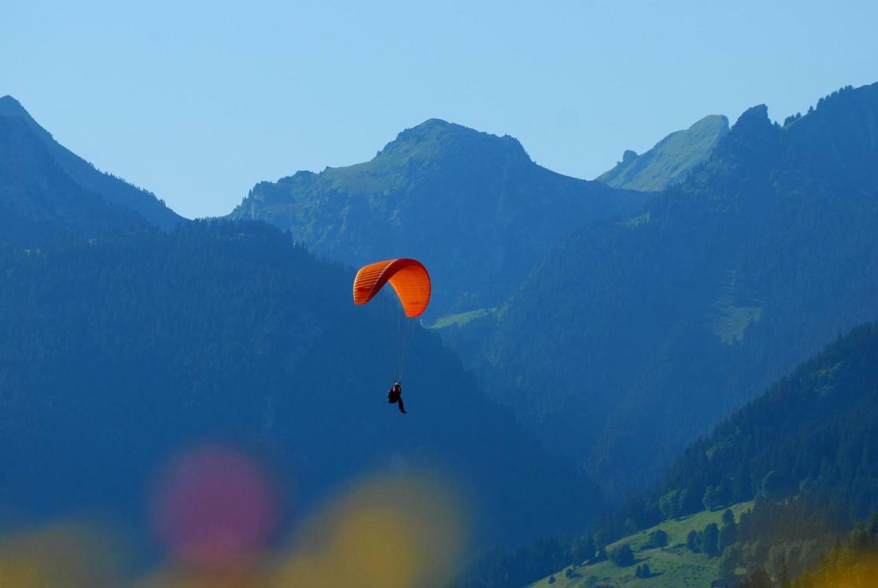Chalet Peterets Samoens Ngoại thất bức ảnh